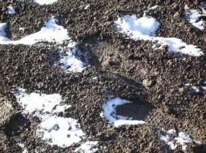 Footprints in The Snow In Reverse