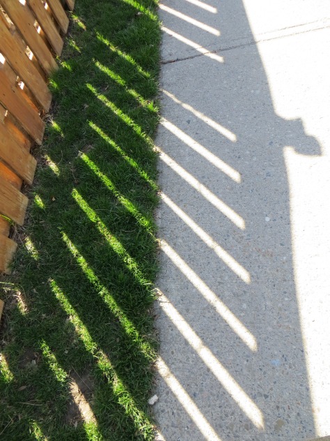 fence, grass, sidewalk and light